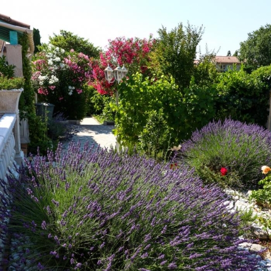  Laurent ALIAGA L'Expert Immobilier : Maison / Villa | SAINT-GELY-DU-FESC (34980) | 135 m2 | 530 000 € 