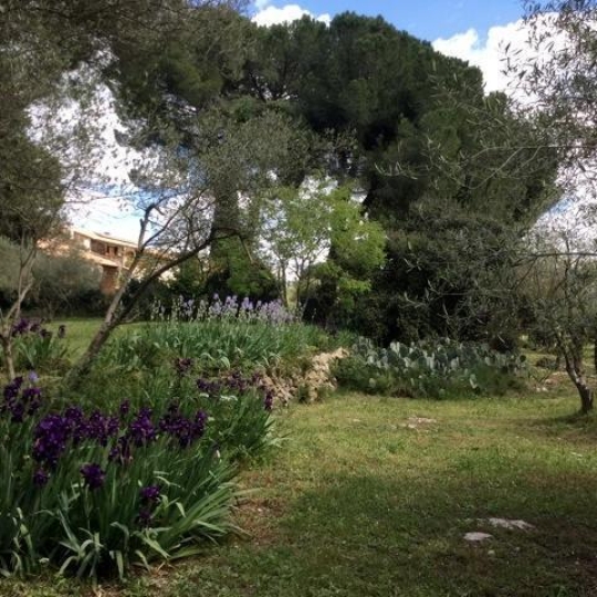  Laurent ALIAGA L'Expert Immobilier : Domain / Estate | SAINT-JUST (34400) | 243 m2 | 1 040 000 € 