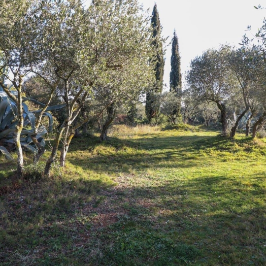  Laurent ALIAGA L'Expert Immobilier : Domain / Estate | SAINT-JUST (34400) | 243 m2 | 1 040 000 € 