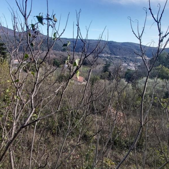  Laurent ALIAGA L'Expert Immobilier : Terrain | LODEVE (34700) | 3 590 m2 | 129 000 € 