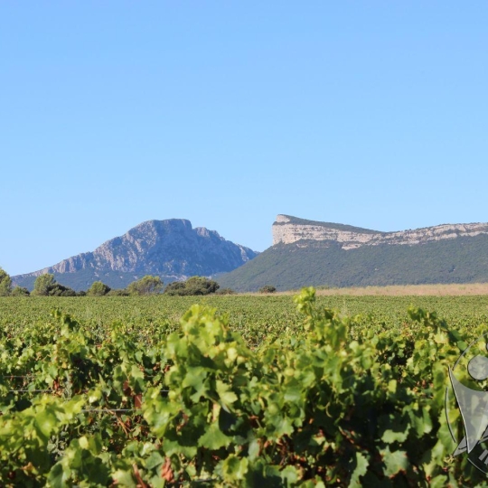  Laurent ALIAGA L'Expert Immobilier : Other | SAINT-MATHIEU-DE-TREVIERS (34270) | 148 m2 | 249 000 € 
