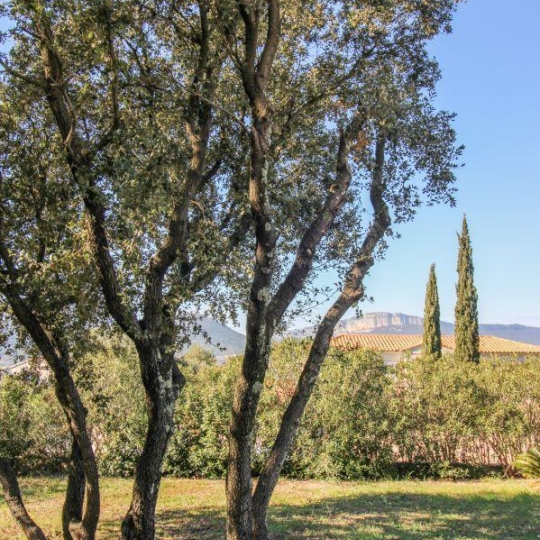  Laurent ALIAGA L'Expert Immobilier : House | SAINT-MATHIEU-DE-TREVIERS (34270) | 145 m2 | 795 000 € 