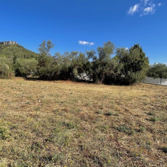  ADC IMMO et EXPERTISE - LE CRES  : Terrain | SAINT-MATHIEU-DE-TREVIERS (34270) | 0 m2 | 219 900 € 