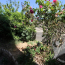  Laurent ALIAGA L'Expert Immobilier : House | LE CRES (34920) | 107 m2 | 270 000 € 