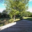 Laurent ALIAGA L'Expert Immobilier : Maison / Villa | SAINT-MATHIEU-DE-TREVIERS (34270) | 169 m2 | 698 000 € 