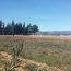  Laurent ALIAGA L'Expert Immobilier : Terrain | HOMPS (11200) | 0 m2 | 53 000 € 
