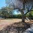  Laurent ALIAGA L'Expert Immobilier : Maison / Villa | CASTELNAU-LE-LEZ (34170) | 228 m2 | 1 250 000 € 