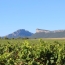  Laurent ALIAGA L'Expert Immobilier : Local / Bureau | SAINT-MATHIEU-DE-TREVIERS (34270) | 330 m2 | 440 000 € 