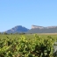  Laurent ALIAGA L'Expert Immobilier : Other | SAINT-MATHIEU-DE-TREVIERS (34270) | 148 m2 | 249 000 € 
