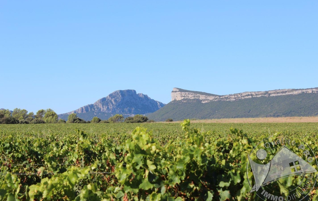 Laurent ALIAGA L'Expert Immobilier : Other | SAINT-MATHIEU-DE-TREVIERS (34270) | 148 m2 | 249 000 € 