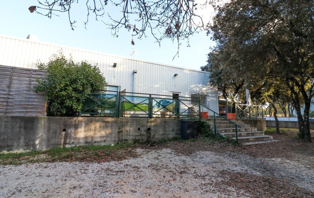 Laurent ALIAGA L'Expert Immobilier : Autres | SAINT-MATHIEU-DE-TREVIERS (34270) | 430 m2 | 528 000 € 