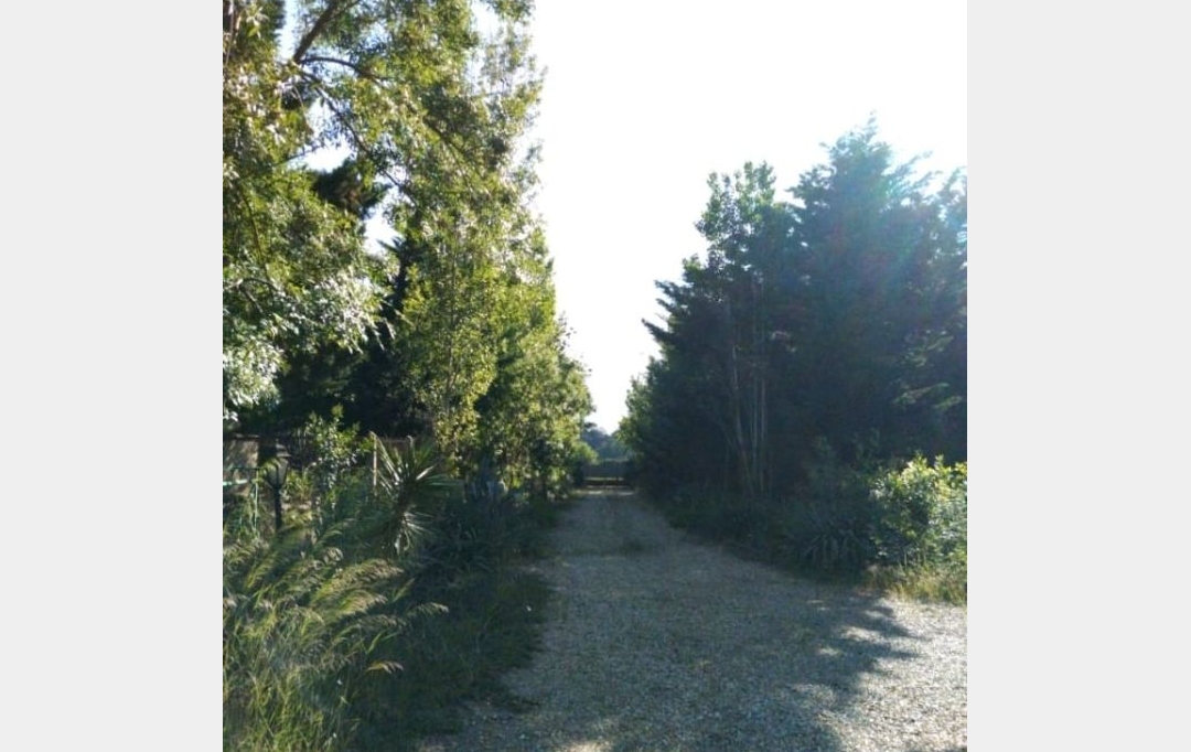 Laurent ALIAGA L'Expert Immobilier : Domaines / Propriétés | MAUGUIO (34130) | 500 m2 | 1 514 000 € 