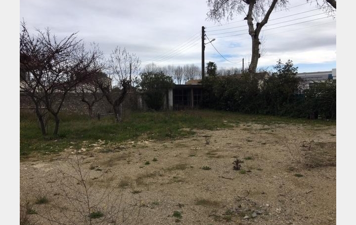 Terrain LUNEL 294 000 € Terrain LUNEL 294 000 €