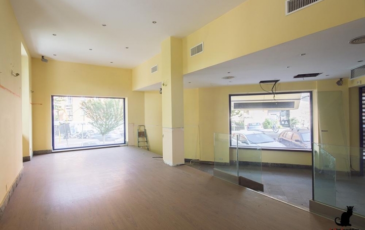 Laurent ALIAGA L'Expert Immobilier : Local / Bureau | CASTELNAU-LE-LEZ (34170) | 125 m2 | 250 000 € 