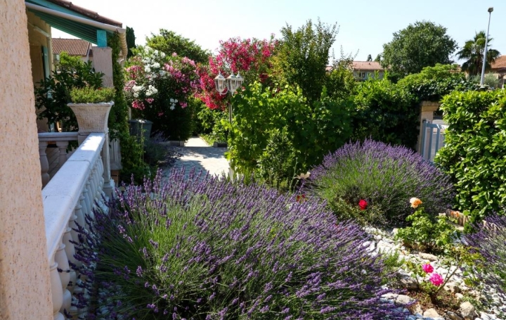 Laurent ALIAGA L'Expert Immobilier : Maison / Villa | SAINT-GELY-DU-FESC (34980) | 135 m2 | 530 000 € 