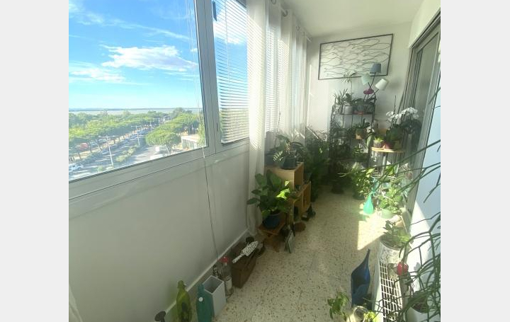 Laurent ALIAGA L'Expert Immobilier : Apartment | CARNON-PLAGE (34280) | 28 m2 | 110 000 € 