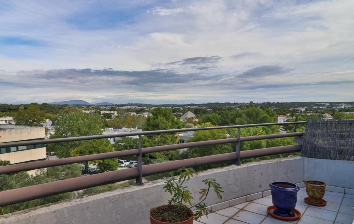 Laurent ALIAGA L'Expert Immobilier : Apartment | MONTPELLIER (34080) | 95 m2 | 230 000 € 