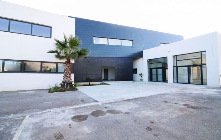 Laurent ALIAGA L'Expert Immobilier : Immeuble | MONTPELLIER (34080) | 885 m2 | 1 622 400 € 