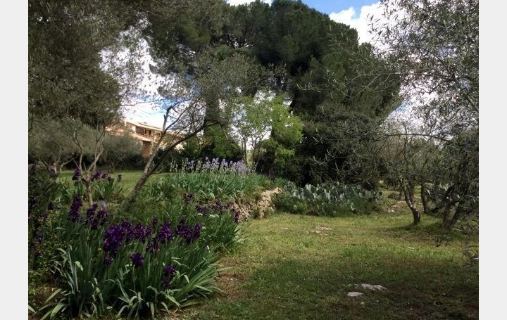 Laurent ALIAGA L'Expert Immobilier : Domain / Estate | SAINT-JUST (34400) | 243 m2 | 1 040 000 € 