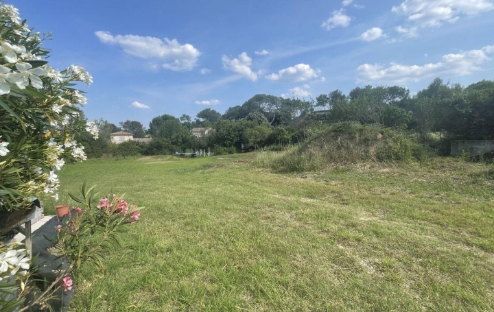 Terrain SAINT-JEAN-DE-CUCULLES 319 000 € Terrain SAINT-JEAN-DE-CUCULLES 319 000 €
