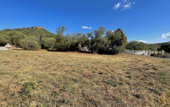 Terrain SAINT-MATHIEU-DE-TREVIERS 219 900 € Terrain SAINT-MATHIEU-DE-TREVIERS 219 900 €